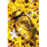 Dolce&Gabbana Dolce Shine