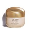 Shiseido Benefiance NutriPerfect Day Cream SPF15