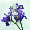 Prada Iris