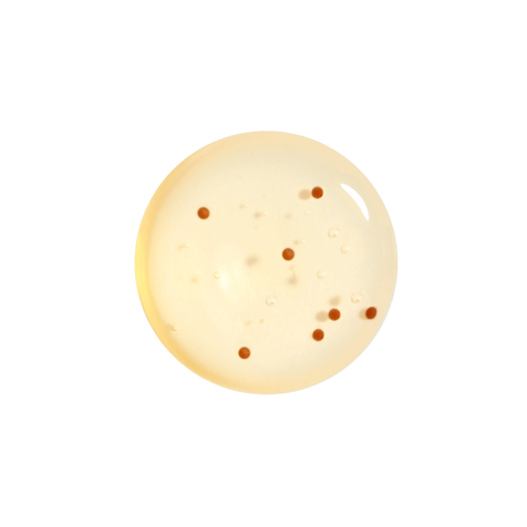 Wakeup Cosmetics Milano Nail Lacquer Nourishing Nail Oil