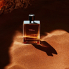 Hermes Terre d'Hermès Eau de Toilette - Refill