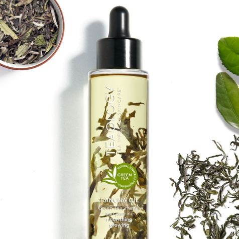 Teaology Bancha Oil