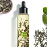 Teaology Bancha Oil