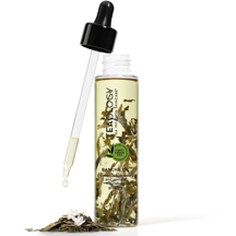 Teaology Bancha Oil