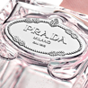 Prada Iris Rose