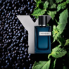 Yves Saint Laurent Y Eau De Parfum Intense