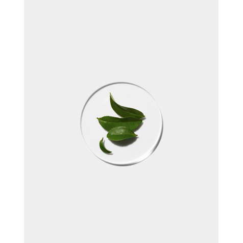 Clinique Clinical Radical Dark Spot Corrector + Interrupter