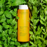 Clarins Bain aux Plantes “Tonic” - Bagnodoccia