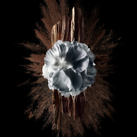 Givenchy Gentleman Society Eau De Parfum Extrême