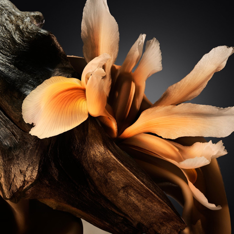 Hugo Boss Boss Bottled Parfum