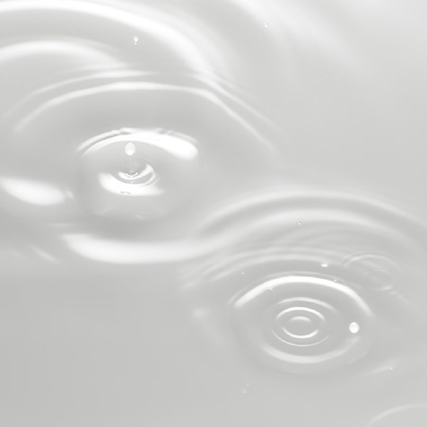 Sensai Absolute Silk Micro Essence In Lotion