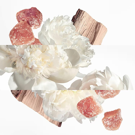 Hermes Twilly Eau Ginger