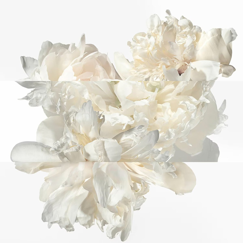 Hermes Twilly Eau Ginger