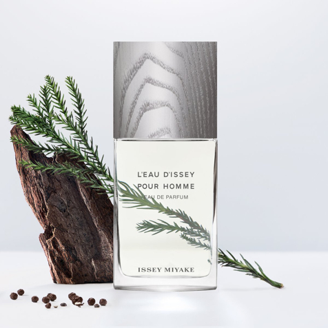 Issey Miyake L'Eau d'Issey Pour Homme Eau de Parfum
