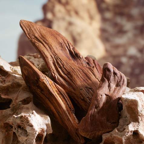 Dolce&Gabbana K Parfum