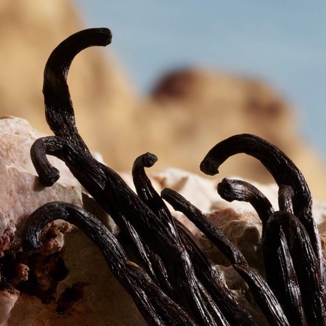 Dolce&Gabbana Q Parfum