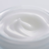 Sensai Cellular Performance Basis Fresh Cream