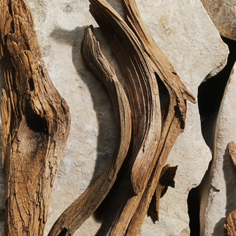 Dolce&Gabbana Light Blue Eau de Toilette