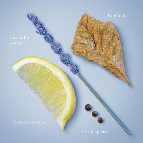 Giorgio Armani Acqua Di Giò Profondo Eau De Toilette