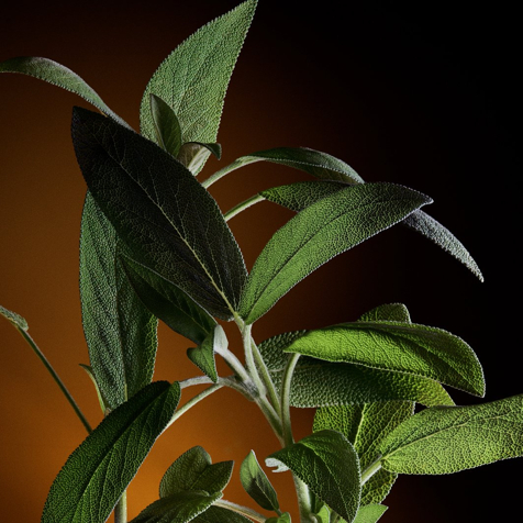 Dolce&Gabbana The One For Men Eau de Parfum