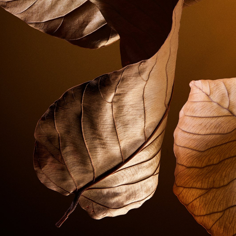 Dolce&Gabbana The One For Men Eau de Parfum