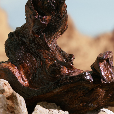 Dolce&Gabbana K by Dolce&Gabbana Elixir