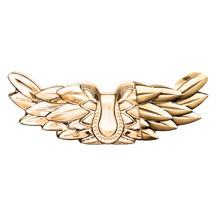 Zadig&Voltaire Zadig L'Intense