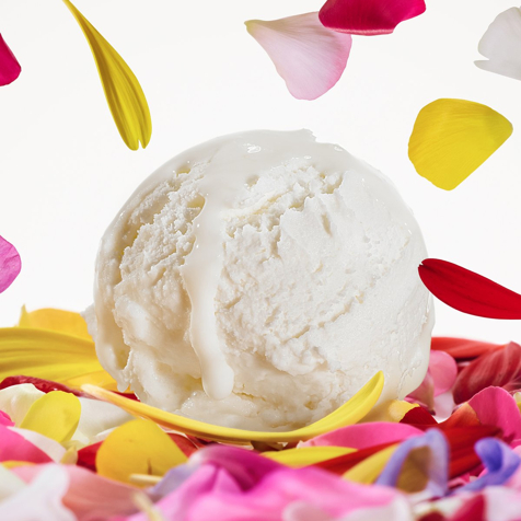 Dolce&Gabbana Dolce Magnolina