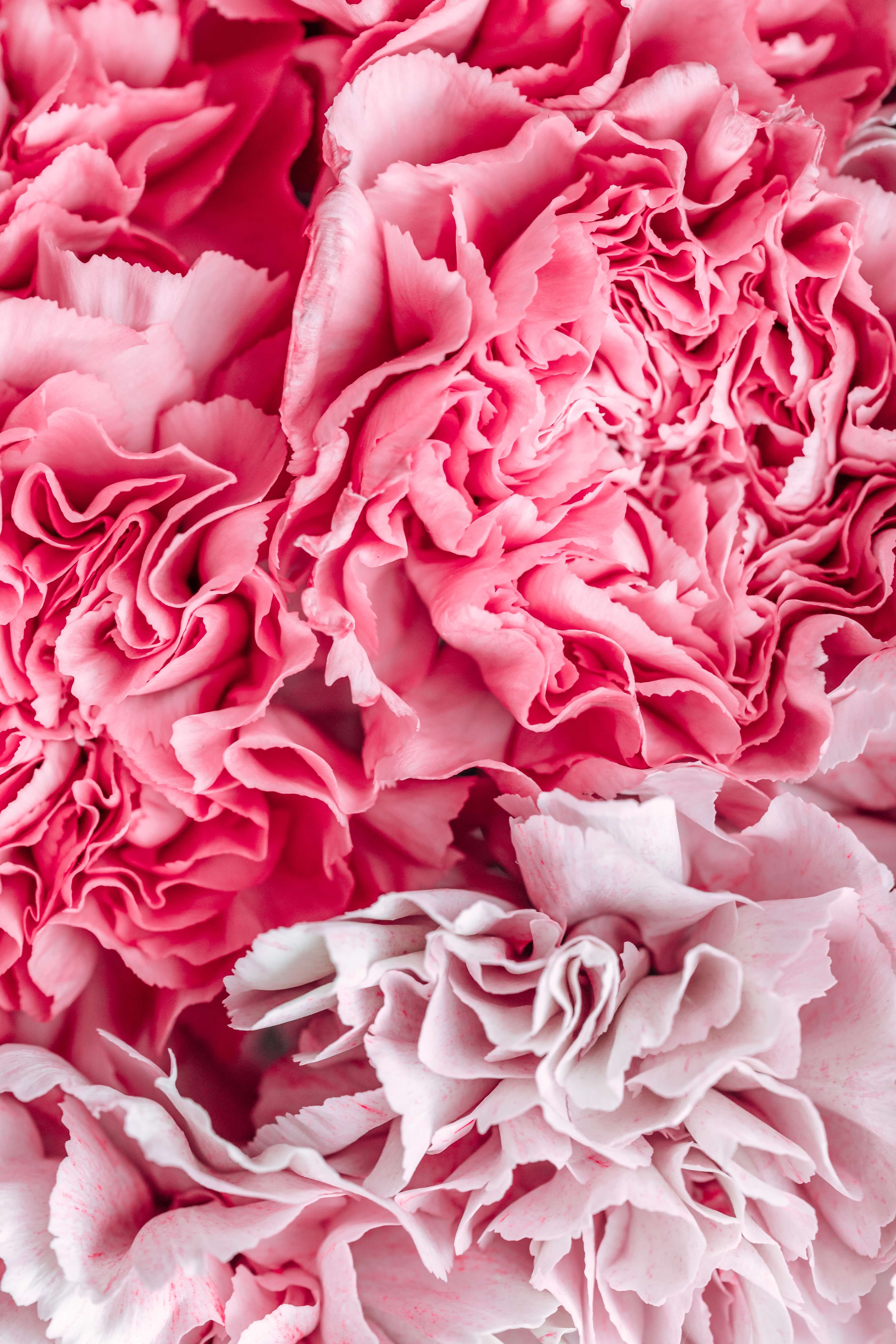 Floreale: la famiglia delle fragranze femminili per eccellenza